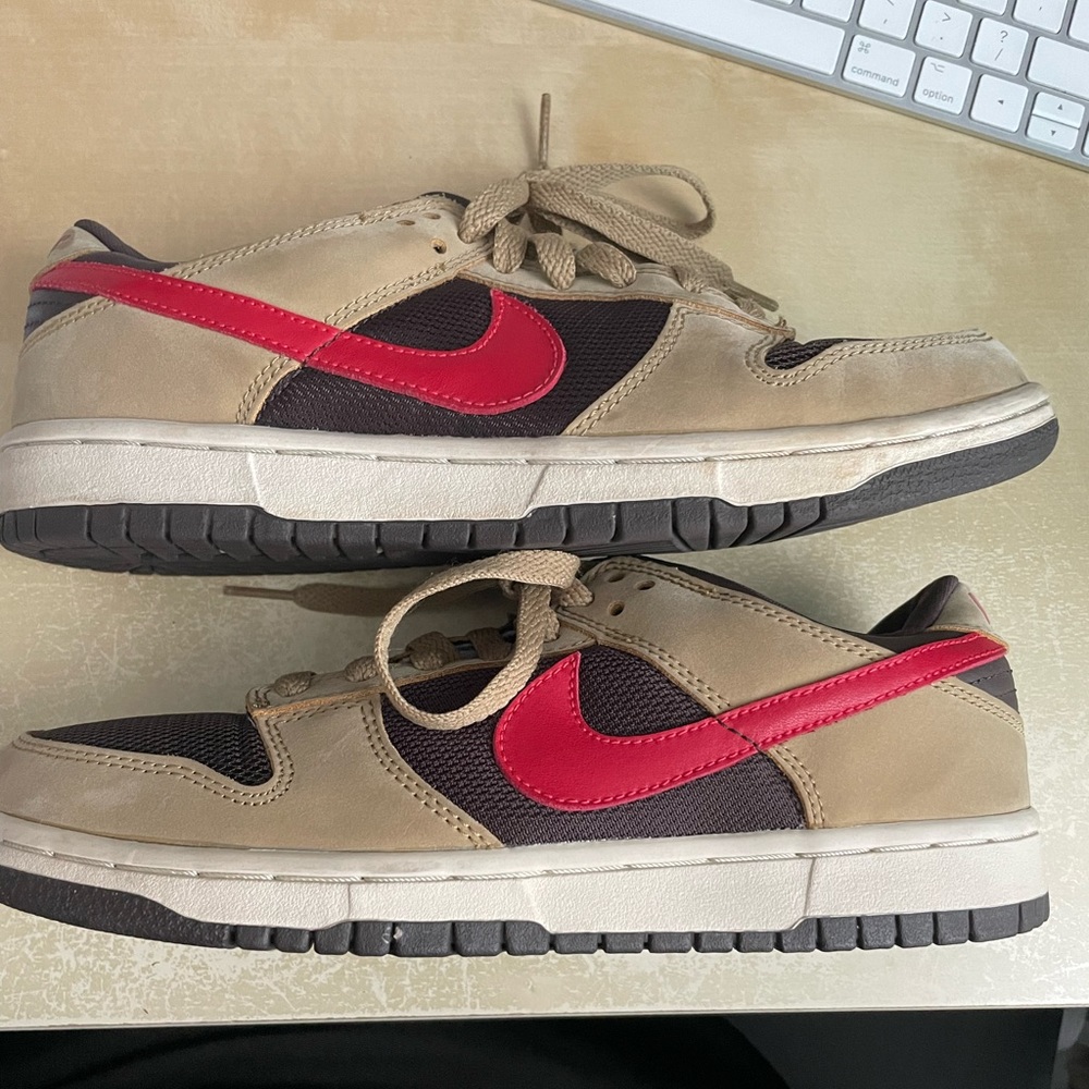 Women’s Rare Nike Dunk Pro Cider size 9